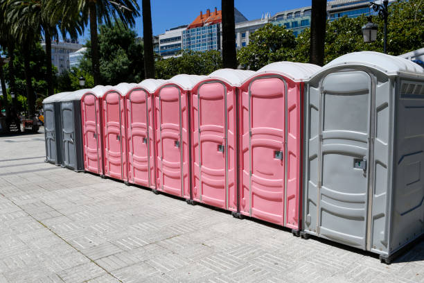 Best Standard Portable Toilet Rental  in Pevely, MO